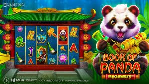 cwin54